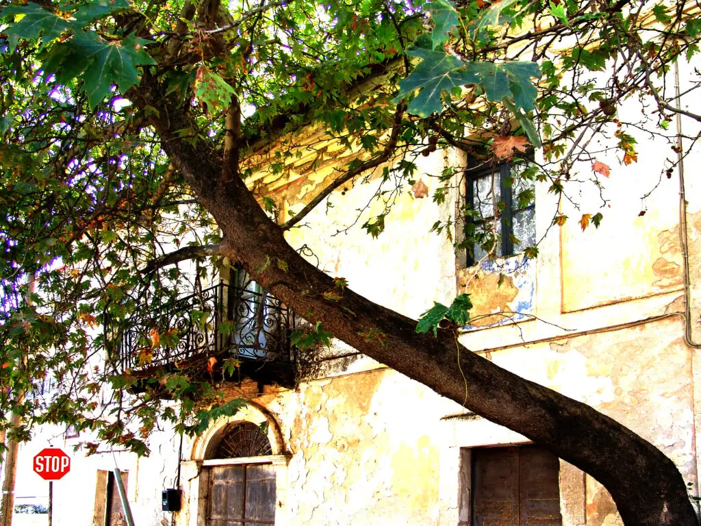 Ξενοδοχείο Παρνασσός